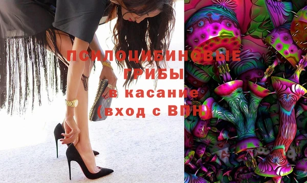 СК Арсеньев